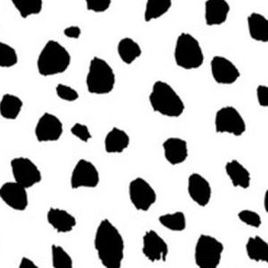 Meet your Posher, Jayden